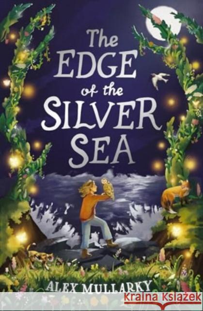 The Edge of the Silver Sea  9781782509172 Floris Books