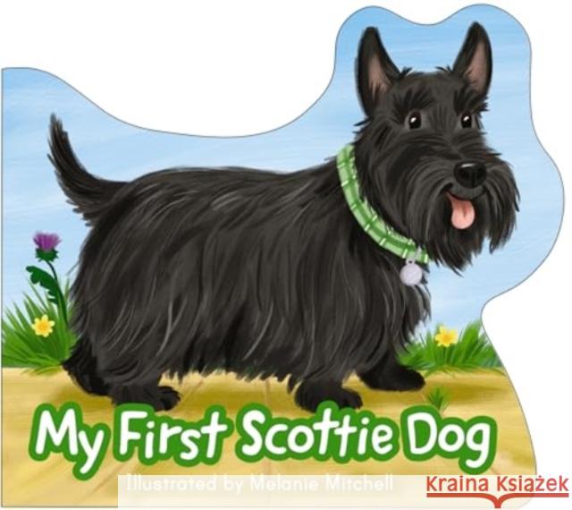 My First Scottie Dog Melanie Mitchell 9781782509349 Kelpies