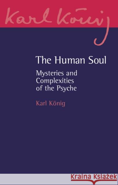 The Human Soul: Mysteries and Complexities of the Psyche Karl Konig 9781782509653 Floris Books