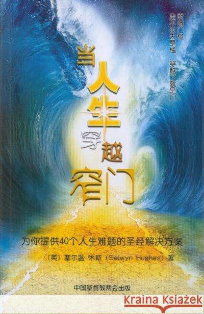 Your Personal Encourager (Mandarin Edition): Biblical help for dealing with difficult times Revd Selwyn Hughes 9781782598824 Waverley Abbey Trust