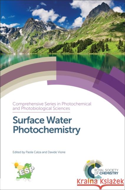Surface Water Photochemistry Paola Calza Davide Vione Giulio Jori 9781782620433 Royal Society of Chemistry