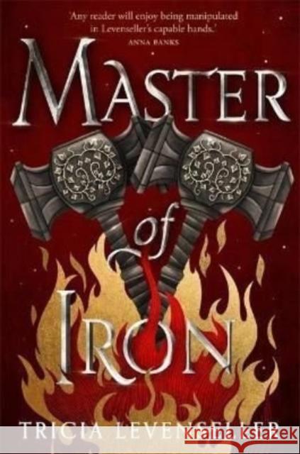 Master of Iron: Book 2 of the Bladesmith Duology Tricia Levenseller 9781782693666 Pushkin Children's Books