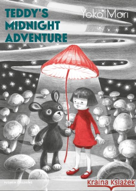 Teddy's Midnight Adventure Mori, Yoko 9781782694014 Pushkin Children's Books