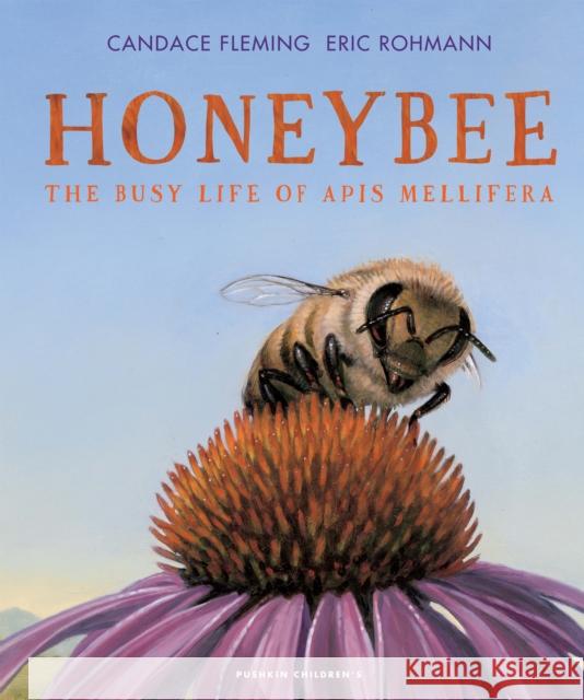 Honeybee: The Busy Life of Apis Mellifera Candace Fleming 9781782694090