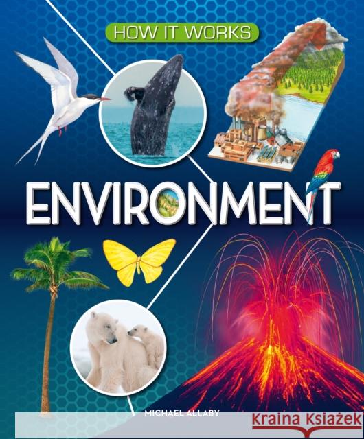 How It Works: Environment Allaby, Michael 9781782700036