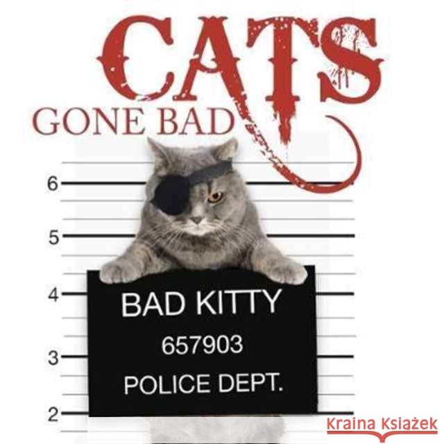 Cats Gone Bad Scratching, Kat 9781782743200 