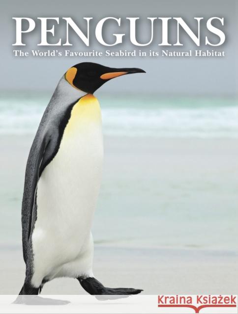 Penguins: Stunning Photographs of the World's Favourite Seabird Tom Jackson 9781782749585 Amber Books Ltd