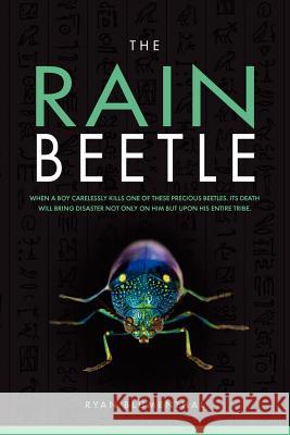 The Rain Beetle Ryan Blumenthal 9781782810025