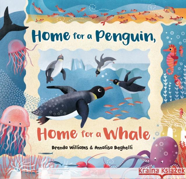 Home for a Penguin, Home for a Whale Brenda Williams Annalisa Beghelli 9781782857440 Barefoot Books Ltd