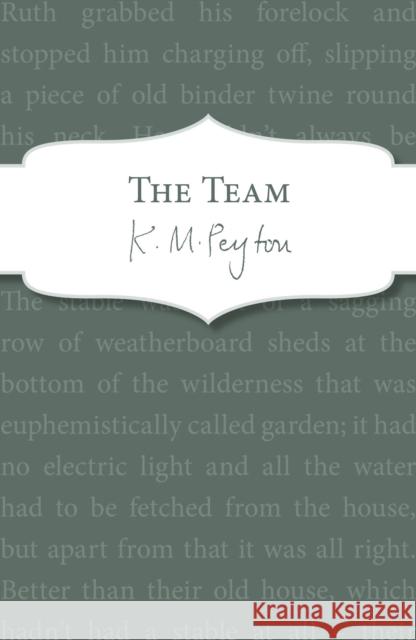 The Team K. M. Peyton   9781782951131 Red Fox Classics