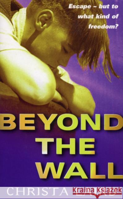 Beyond The Wall Christa Laird 9781782951438