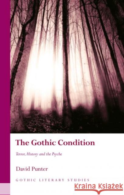 The Gothic Condition: Terror, History and the Psyche Punter, David 9781783168217