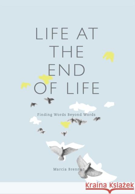 Life at the End of Life: Finding Words Beyond Words Brennan, Marcia 9781783206971 John Wiley & Sons