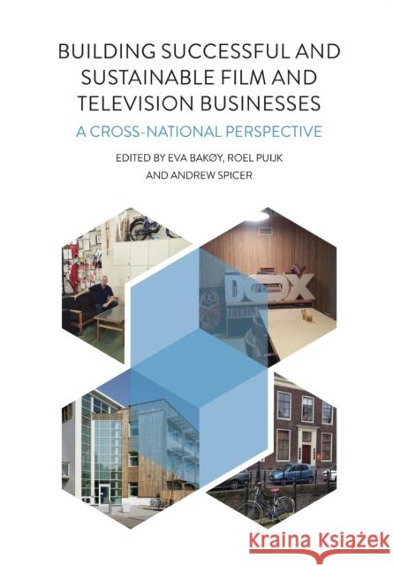 Building Successful and Sustainable Film and Television Businesses: A Cross-National Perspective Eva Bakoy Roel Puijk Andrew Spicer 9781783208203 Intellect (UK)