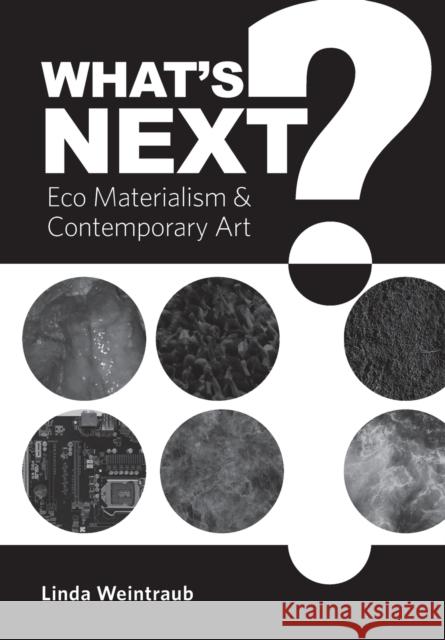 What's Next?: Eco Materialism & Contemporary Art Weintraub, Linda 9781783209408 Intellect (UK)