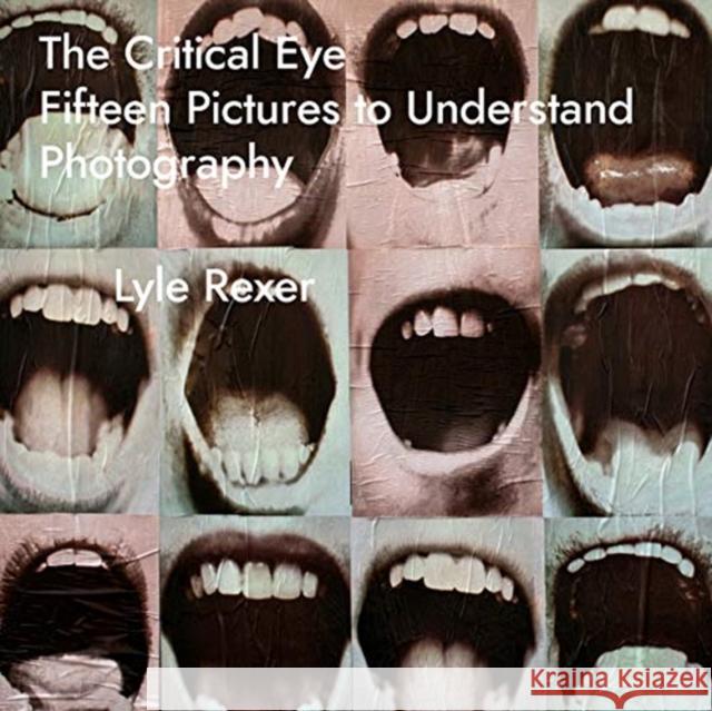 The Critical Eye: Fifteen Pictures to Understand Photography Lyle Rexer 9781783209842
