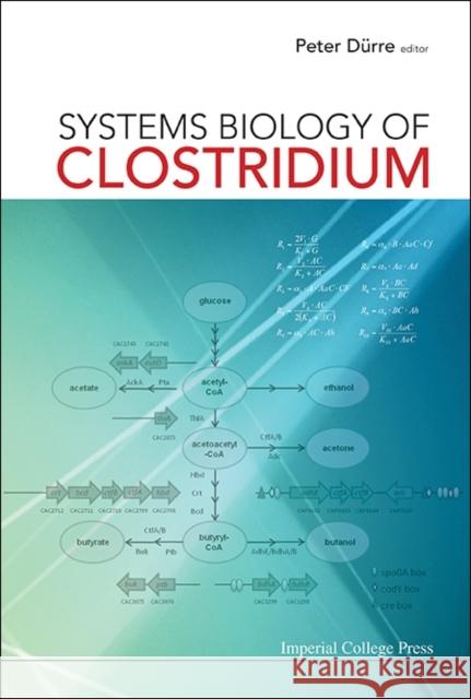 Systems Biology of Clostridium Peter Durre 9781783264407 World Scientific Publishing Company