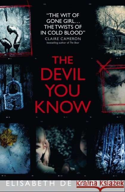 The Devil You Know Elisabeth de Mariaffi 9781783297627