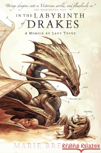 In the Labyrinth of Drakes: A Memoir by Lady Trent Marie Brennan 9781783297764 Titan Books Ltd