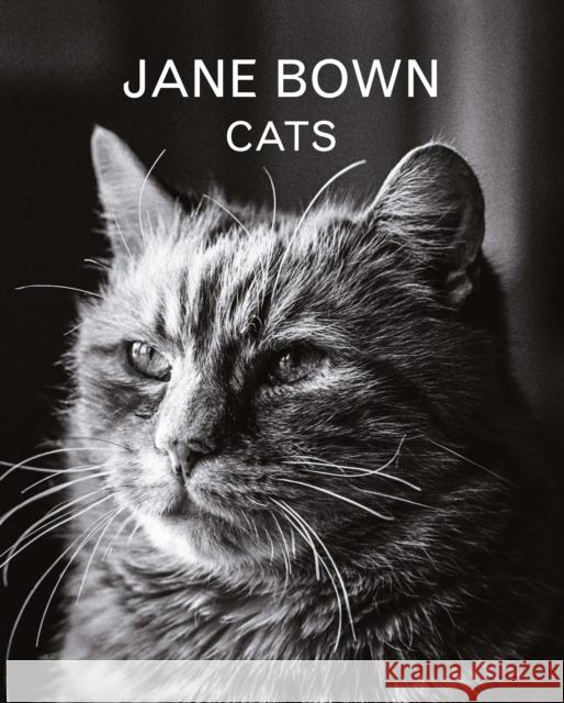 Jane Bown: Cats Jane Bown 9781783350872 Guardian Faber Publishing