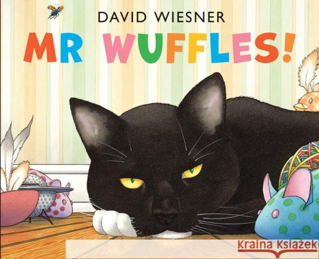 Mr Wuffles! David Wiesner 9781783441167