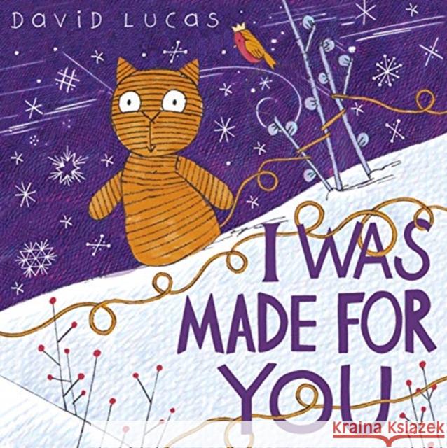 I Was Made For You David Lucas 9781783447671
