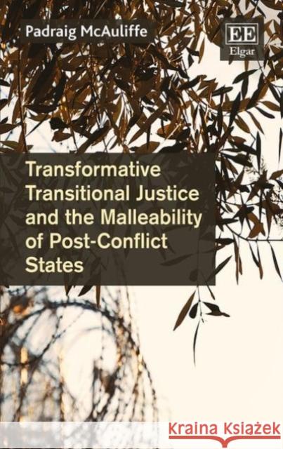 Transformative Transitional Justice and the Malleability of Post-Conflict States Padraig McAuliffe 9781783470037 Edward Elgar Publishing Ltd