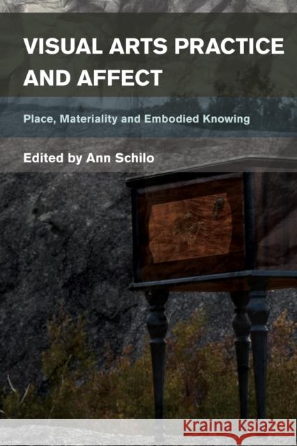 Visual Arts Practice and Affect: Place, Materiality and Embodied Knowing Ann Schilo 9781783487363 Rowman & Littlefield International