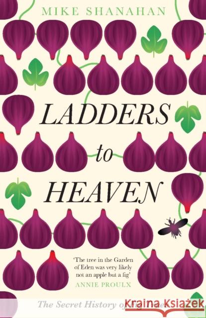 Ladders to Heaven Mike Shanahan 9781783525805 Unbound