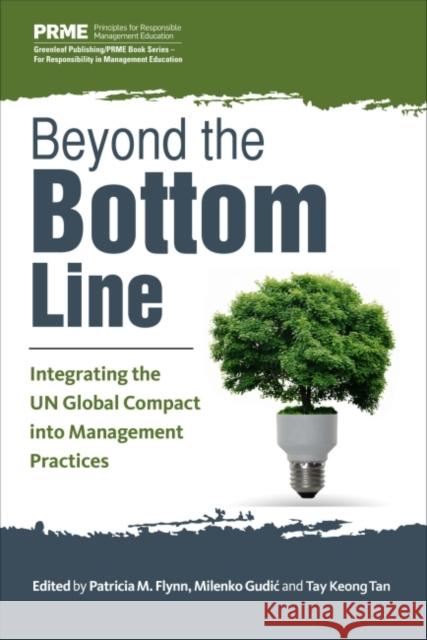 Beyond the Bottom Line: Integrating Sustainability Into Business and Management Practice Gudic, Milenko 9781783533275