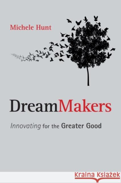 Dreammakers: Innovating for the Greater Good Michele Hunt 9781783533954 Greenleaf Publishing (UK)