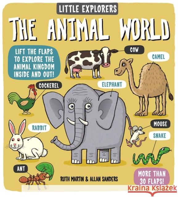 Little Explorers: The Animal World Ruth Martin 9781783702503 Templar Publishing