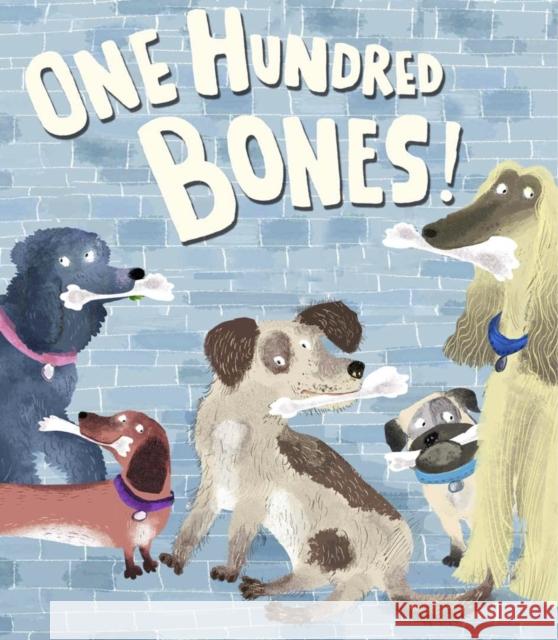 One Hundred Bones Yuval Zommer 9781783703517 Templar Publishing