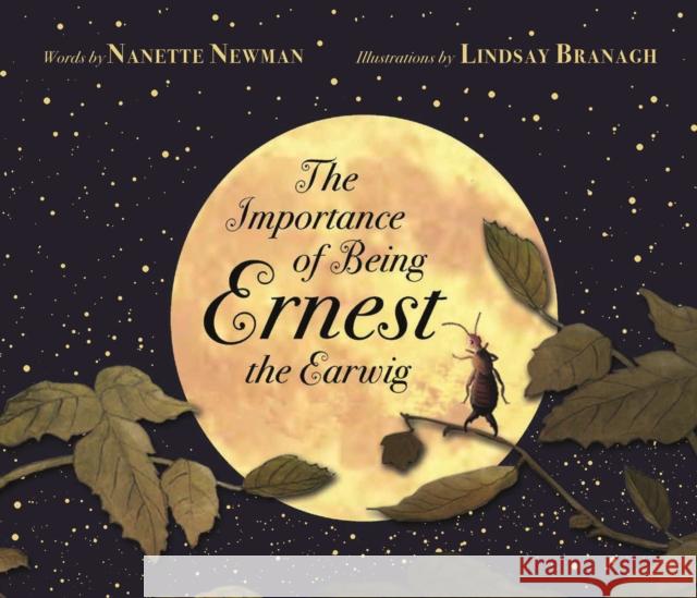 Importance of Being Ernest the Earwig  Newman, Nanette 9781783706365