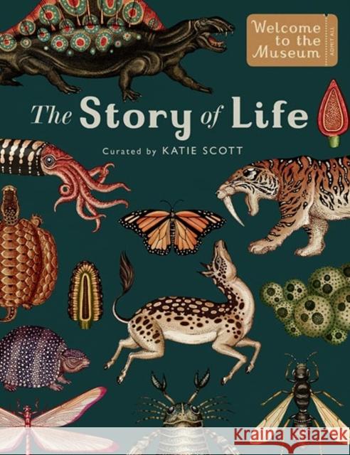 The Story of Life: Evolution (Extended Edition) Symons, Ruth 9781783706822