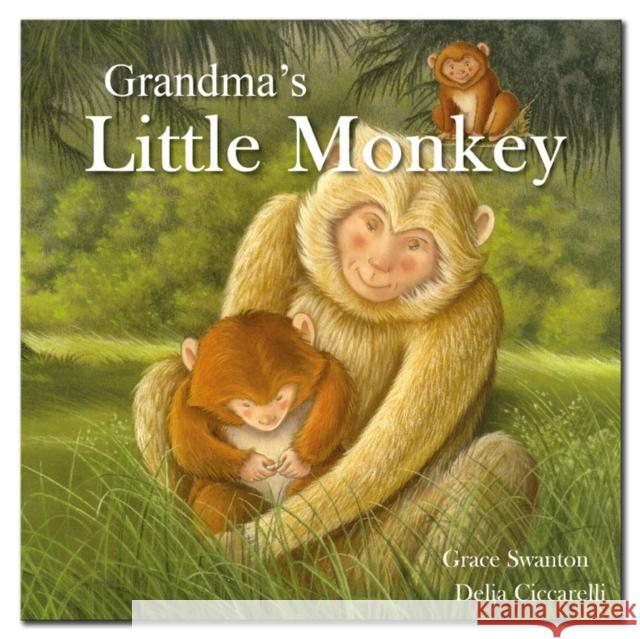 Grandma'S Little Monkey Gemma Cary 9781783733934