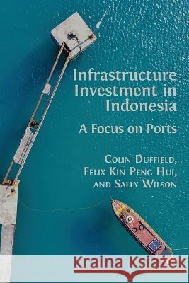 Infrastructure Investment in Indonesia: A Focus on Ports Colin Duffield, Felix Kin Peng Hui, Sally Wilson 9781783748211