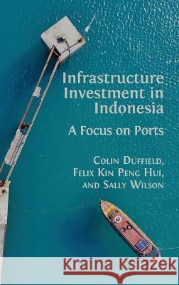 Infrastructure Investment in Indonesia: A Focus on Ports Colin Duffield, Felix Kin Peng Hui, Sally Wilson 9781783748228