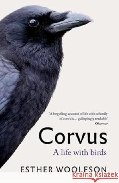 Corvus: A Life With Birds Esther Woolfson 9781783784486 Granta Books