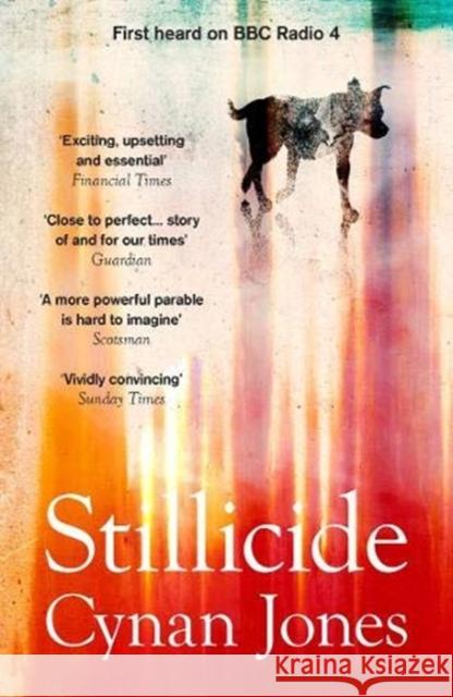Stillicide Cynan Jones 9781783787098