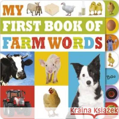 My First Book of Farm Words   9781783934034 Make Believe Ideas