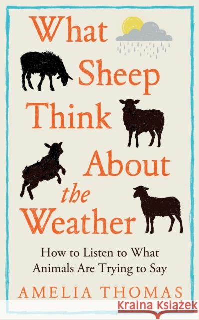 What Sheep Think About the Weather: How to listen to what animals are trying to say - The perfect stocking filler for the animal lover in your life Thomas, Amelia 9781783969234