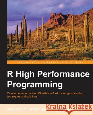 R High Performance Programming Aloysius Lim William Tjhi 9781783989263 Packt Publishing
