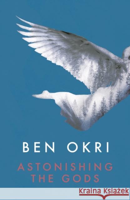 Astonishing the Gods Ben Okri 9781784082550 Bloomsbury Publishing PLC