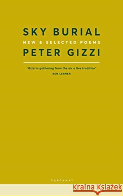 Sky Burial: New and Selected Poems Peter Gizzi   9781784108229