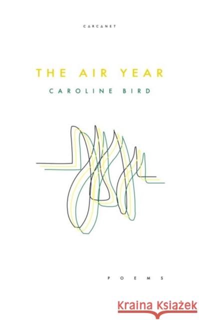 The Air Year Caroline Bird 9781784109028