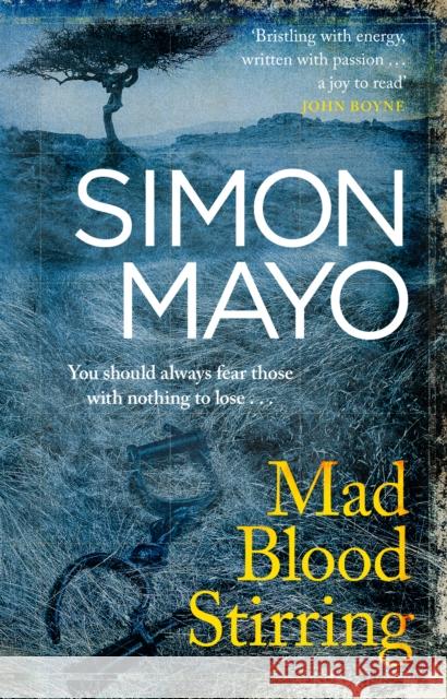 Mad Blood Stirring Mayo, Simon 9781784162962
