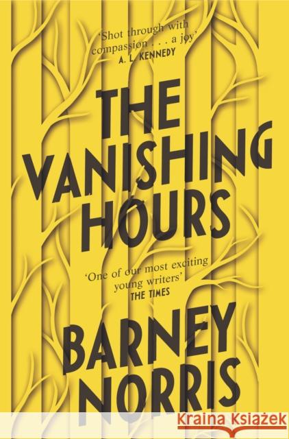 The Vanishing Hours Norris, Barney 9781784163815