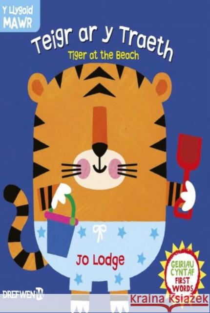 Cyfres y Llygaid Mawr: Teigr ar y Traeth / Tiger at the Beach: Tiger at the Beach Macmillan 9781784231958