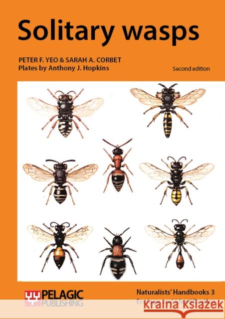 Solitary wasps Yeo, Peter F. 9781784270339 Pelagic Publishing